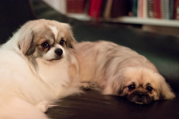 melissa&amp;iggynetti